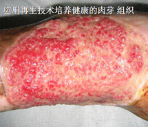 非凡国际·(中国游)体育官方网站