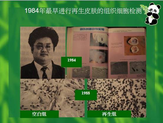 非凡国际·(中国游)体育官方网站
