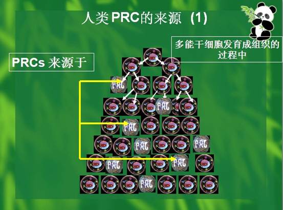 非凡国际·(中国游)体育官方网站