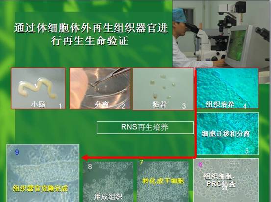 非凡国际·(中国游)体育官方网站