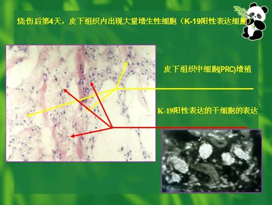 非凡国际·(中国游)体育官方网站