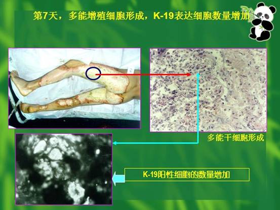 非凡国际·(中国游)体育官方网站