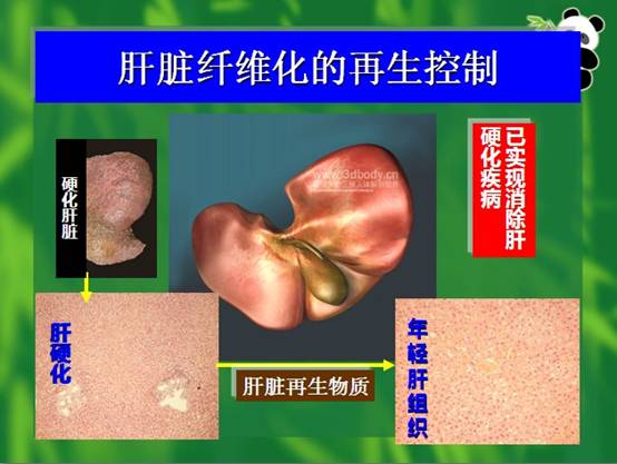 非凡国际·(中国游)体育官方网站