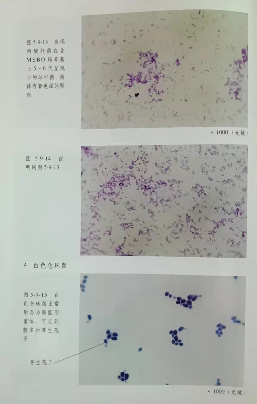 非凡国际·(中国游)体育官方网站