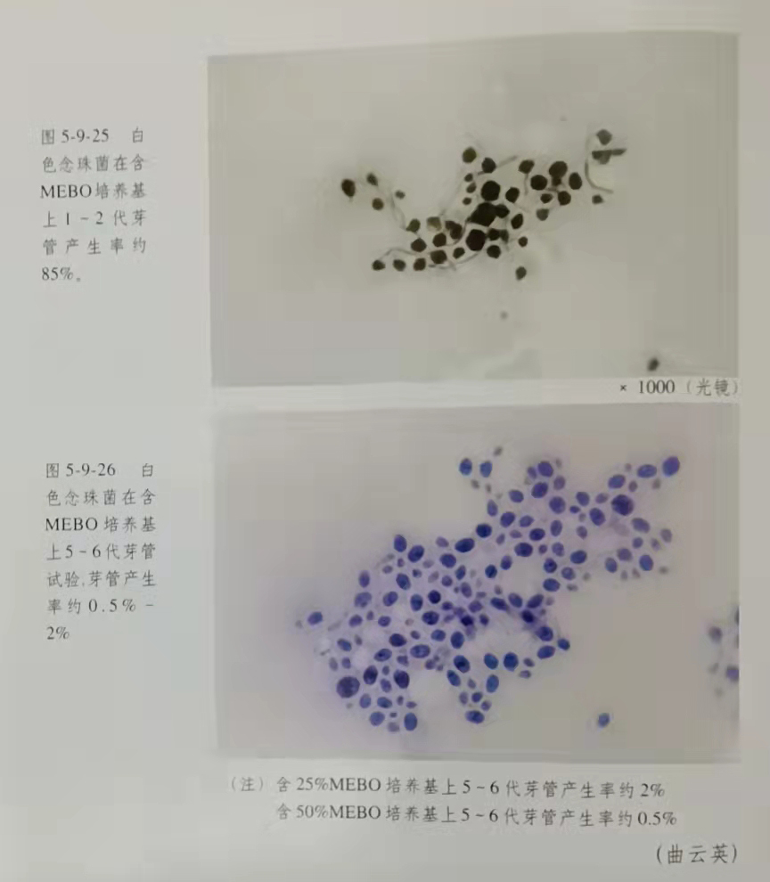 非凡国际·(中国游)体育官方网站