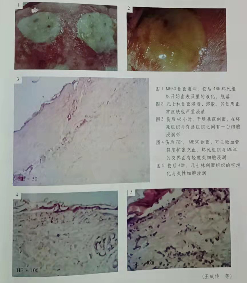 非凡国际·(中国游)体育官方网站