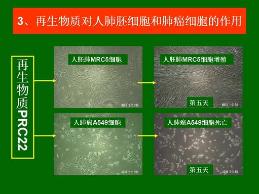 非凡国际·(中国游)体育官方网站
