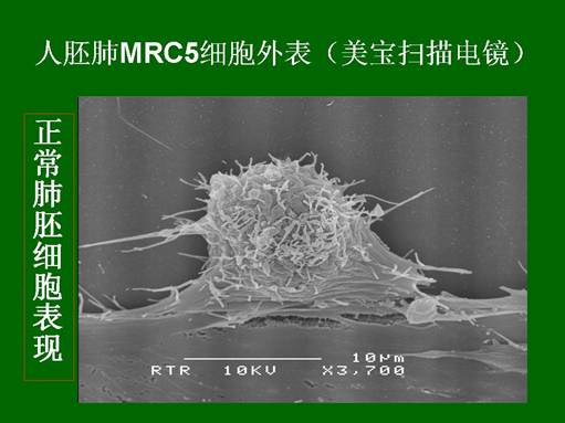 非凡国际·(中国游)体育官方网站