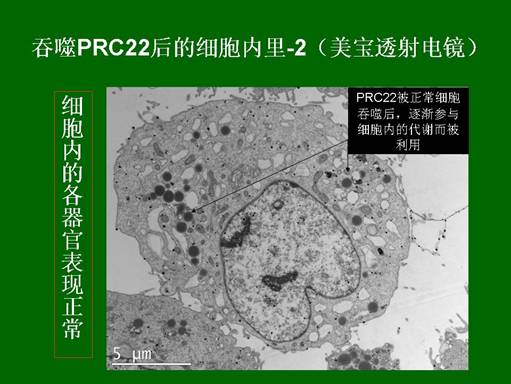 非凡国际·(中国游)体育官方网站