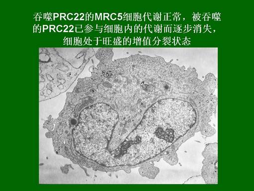 非凡国际·(中国游)体育官方网站
