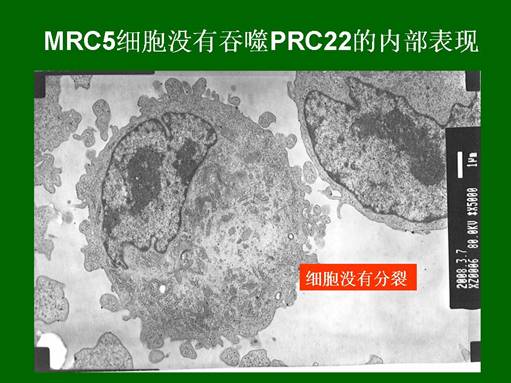 非凡国际·(中国游)体育官方网站