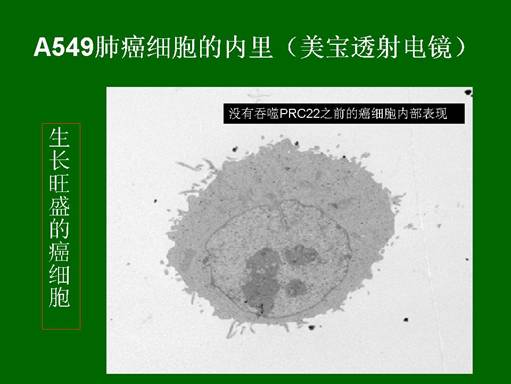 非凡国际·(中国游)体育官方网站