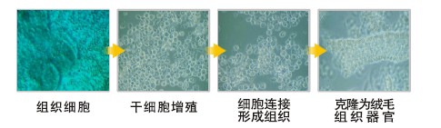 非凡国际·(中国游)体育官方网站