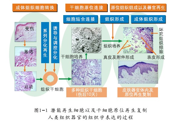 非凡国际·(中国游)体育官方网站
