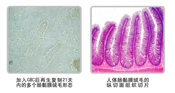 非凡国际·(中国游)体育官方网站