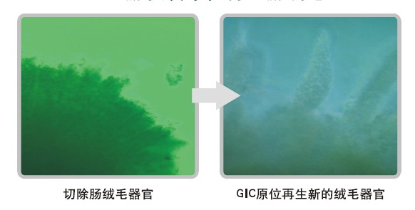 非凡国际·(中国游)体育官方网站