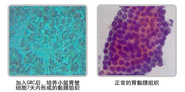 非凡国际·(中国游)体育官方网站