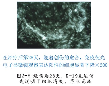 非凡国际·(中国游)体育官方网站