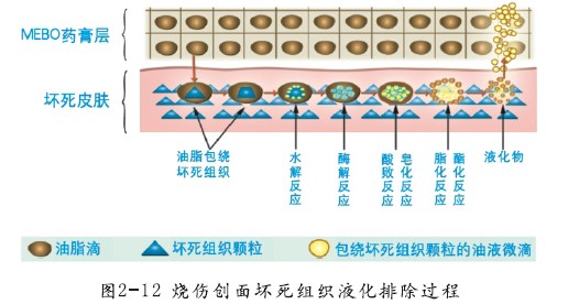 非凡国际·(中国游)体育官方网站