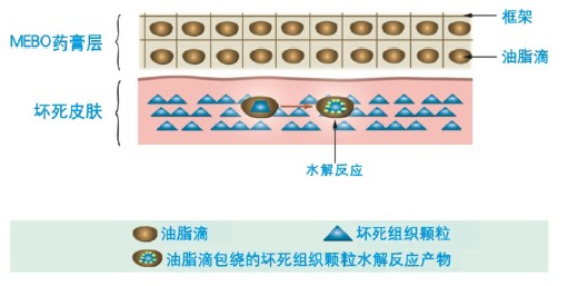 非凡国际·(中国游)体育官方网站