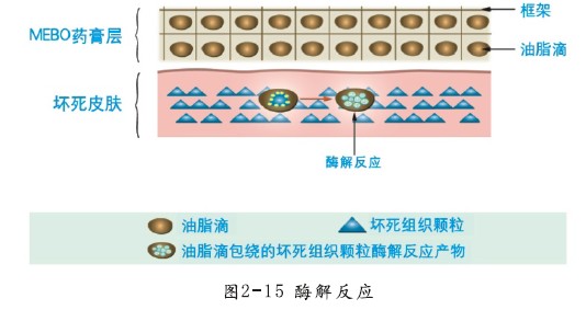 非凡国际·(中国游)体育官方网站