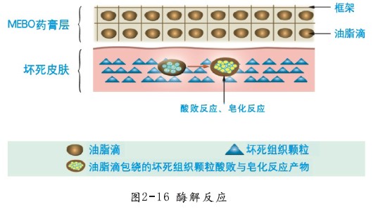非凡国际·(中国游)体育官方网站