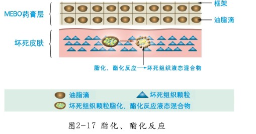 非凡国际·(中国游)体育官方网站