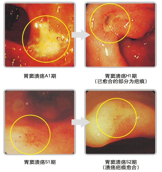 非凡国际·(中国游)体育官方网站