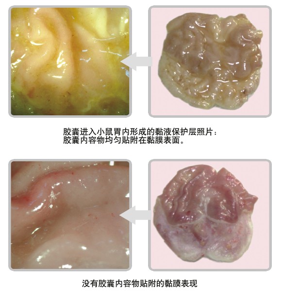 非凡国际·(中国游)体育官方网站