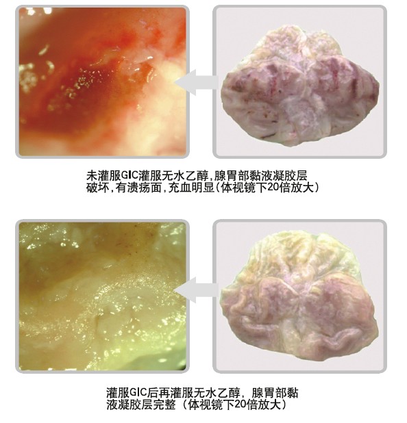 非凡国际·(中国游)体育官方网站
