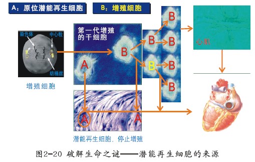 非凡国际·(中国游)体育官方网站