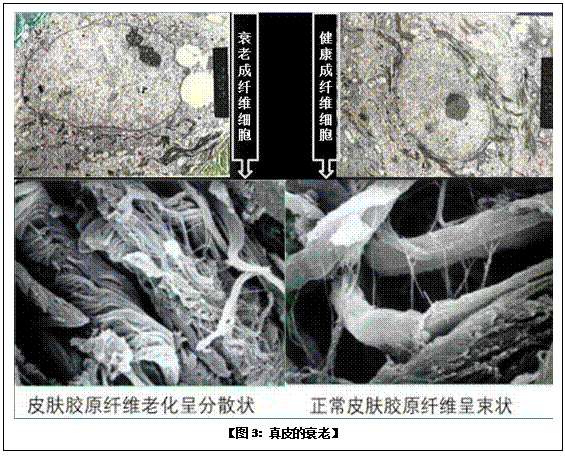 非凡国际·(中国游)体育官方网站