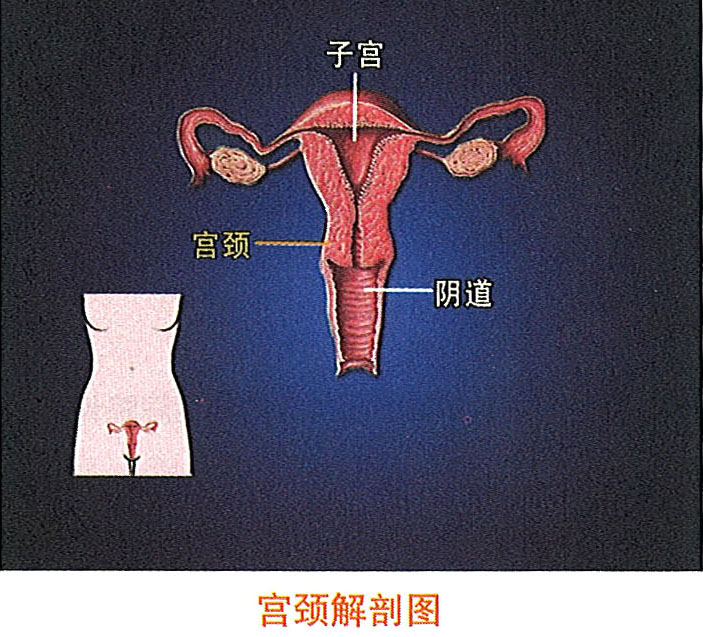 非凡国际·(中国游)体育官方网站