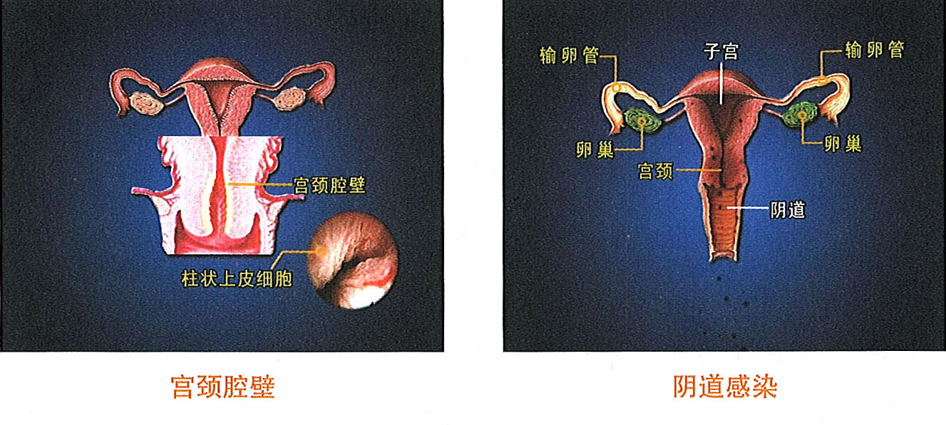 非凡国际·(中国游)体育官方网站