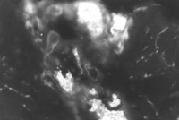2011218155723346