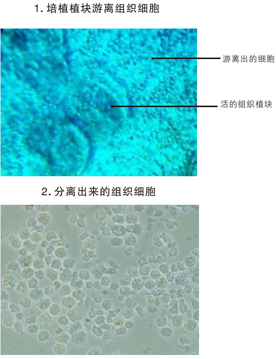 201122011113498