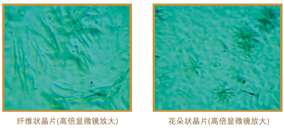 201122013281845