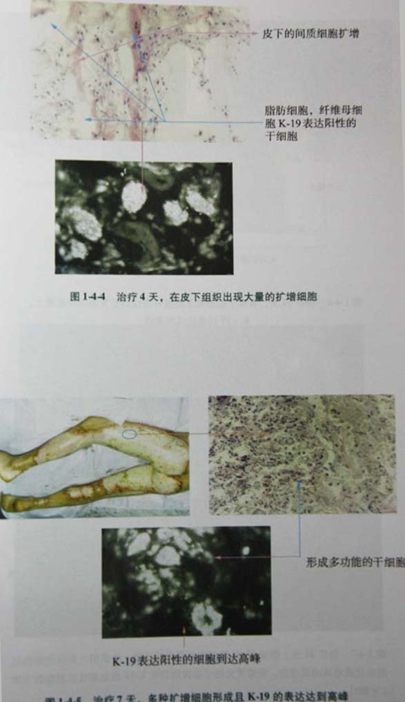 201131134339497