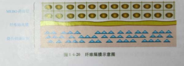 201131135136197