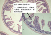 非凡国际·(中国游)体育官方网站