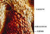 非凡国际·(中国游)体育官方网站